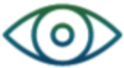 Vision icon